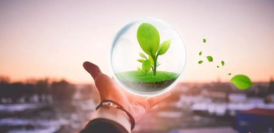 凱創感染類疾病診斷的三大利器:CRP、SAA和PCT