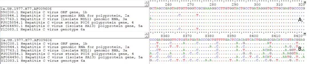 A.5’端非編碼區序列；B.NS5序列